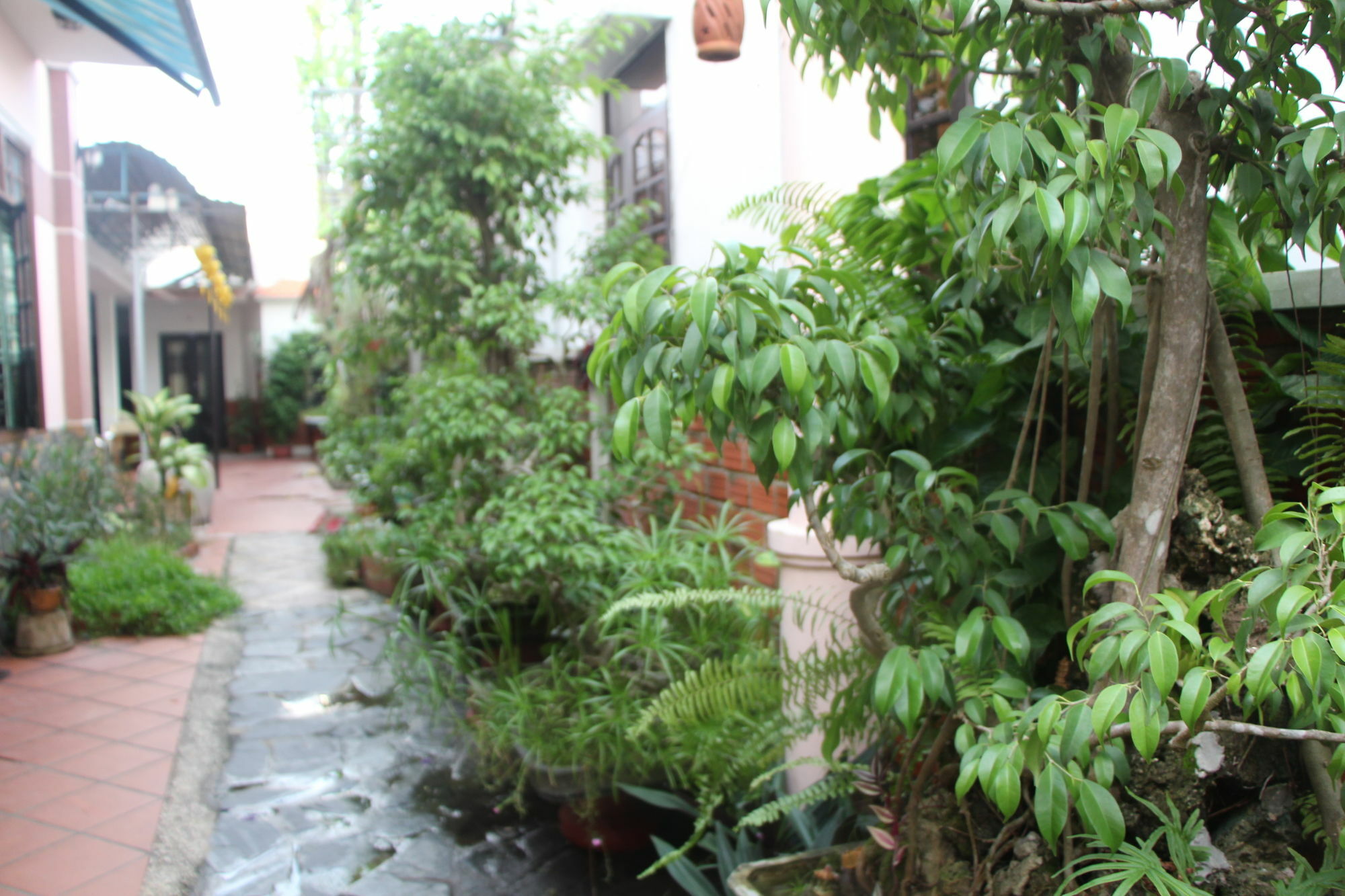 Red Ceramics Homestay Hoi An Zewnętrze zdjęcie